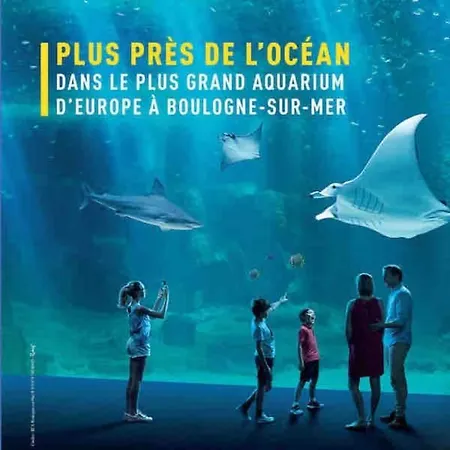 Appartement « bel' Epoque » Proche Vieille 6 Pers, Wifi